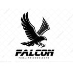 falcon-
